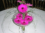 Gerbera table arrangement